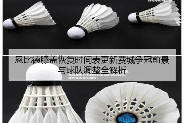 恩比德膝盖恢复时间表更新费城争冠前景与球队调整全解析