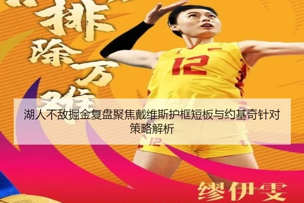 湖人不敌掘金复盘聚焦戴维斯护框短板与约基奇针对策略解析
